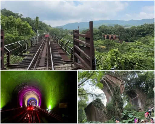 樂齡旅遊體驗　展現凰金黃金年華