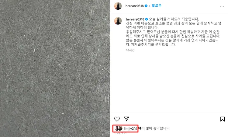 金赫拉在IG貼出道歉文，林知衍、鄭星一都按讚，不怕遭波及。翻攝金赫拉IG