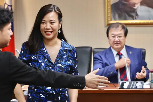 立院藍白合!8常設委員會召委出爐 衛環吳欣盈出線