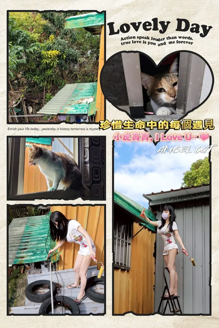 彭小姐爬上梯子幫屋主刷鐵皮屋頂油漆。取自爆廢公社二館