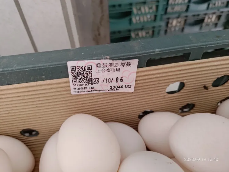 基隆公布進口蛋查核結果。基隆市府提供
