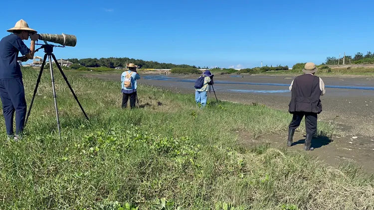 鳥友獵豔。張沛森攝