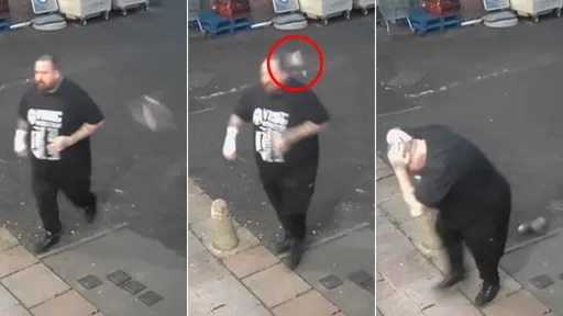 傻眼影片|空中三寶肇事「猛撞人頭」 受害人類:像被羽絨枕重擊