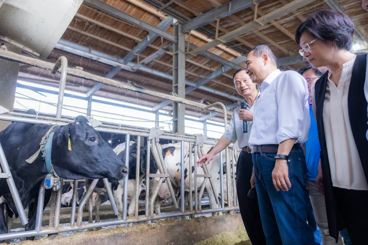 侯友宜今參訪酪農牧場。侯辦提供