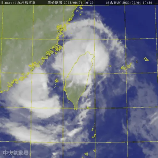 海葵回馬槍!「海葵猴子的一生」copy經典台詞引迴響 網神回:台積電也是護國神山
