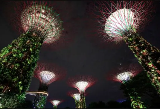 新加坡濱海花園。資料照片