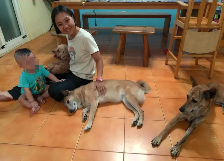「人狗爭寵」竟是怡如、怡伶收養過程中最頭痛問題，實在令人噴飯。凃建豐攝 