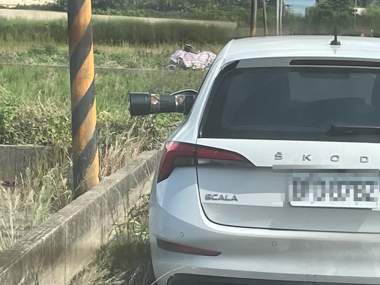 民眾開車前來拍鳥。張沛森攝