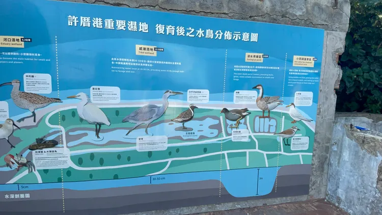 鳥類分布圖。張沛森攝