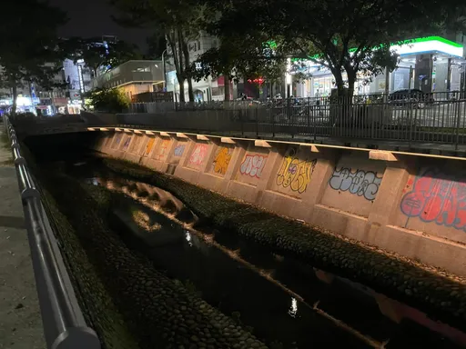 台中又傳塗鴉客出沒 逢甲商圈排水溝淪陷!警鎖定5人偵辦中