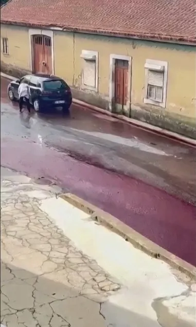  Instagram@pitstore223／路透社