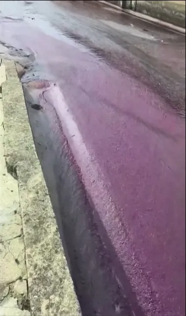  Instagram@pitstore223／路透社