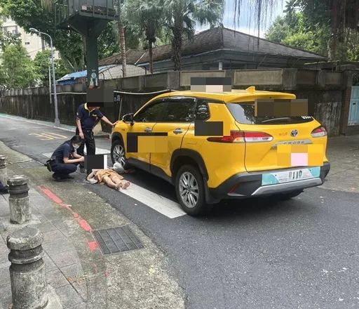 行人地獄再現!婦人過路口遭小黃撞飛 購物袋遭輾險連人同捲車底
