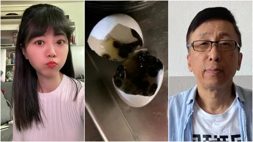 高嘉瑜不忍了!被嗆「不上節目會死嗎」 對決苦苓還原「臭蛋」真相