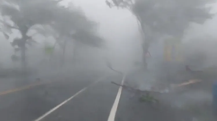 路樹被吹落後砸向一旁。翻攝畫面