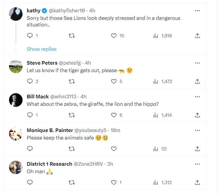 網友關切動物去向和安危。翻攝X平台