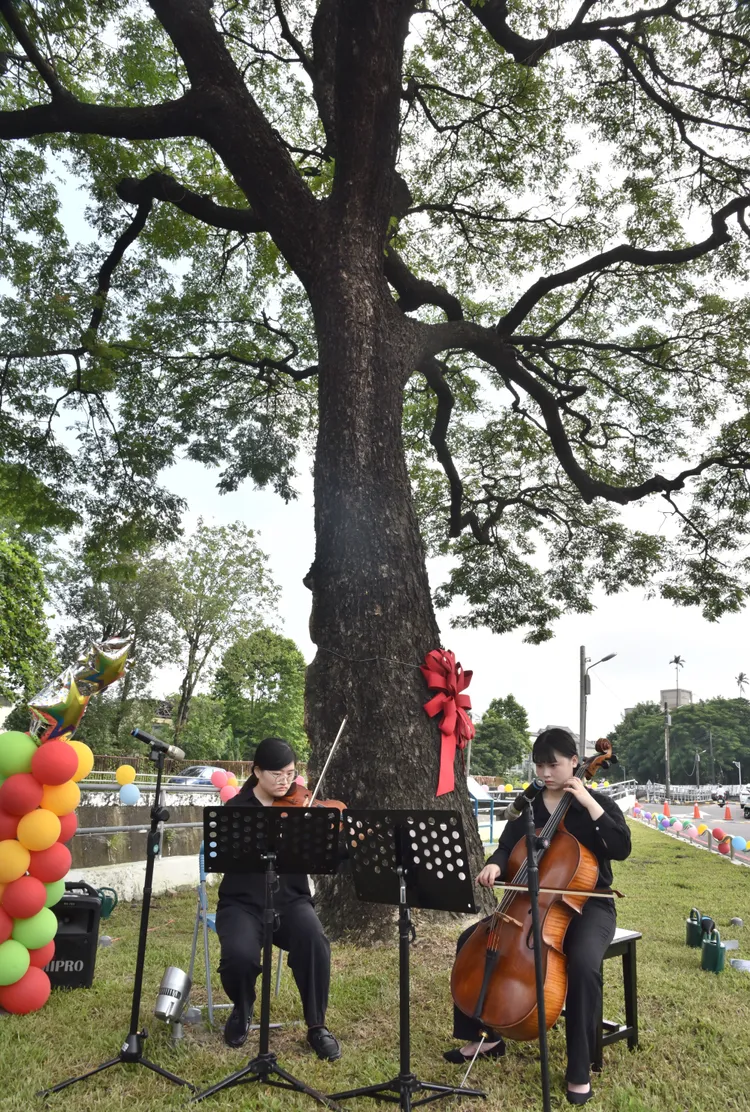 縣府、屏大與地方鄉親齊聚樹下，歡慶老樹重生。屏大提供