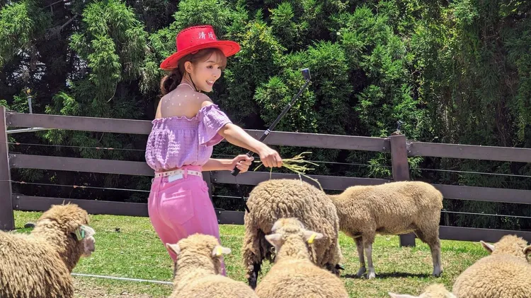 倪暄頭髮意外被羊誤當乾草咬住。中視提供