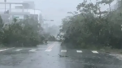 海葵侵襲台東1/3用戶停電　台電：近5成已復電