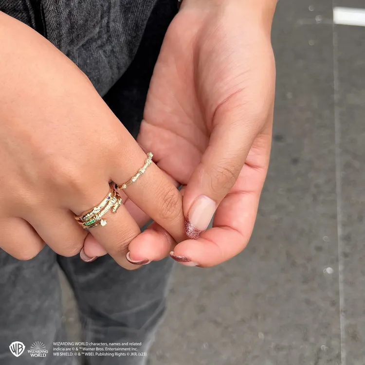 魔法杖系列以「魔杖選擇巫師」的概念作為靈感。品牌提供