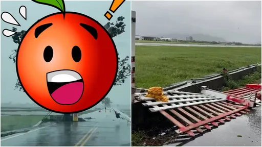 金城武樹「削」瘦了!海葵颱風肆虐 台東逾萬戶停電路樹傾倒嚴重