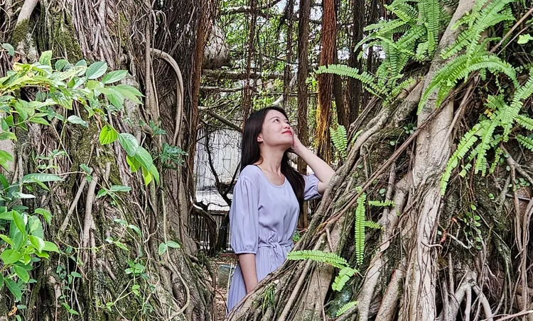 中山溫泉公園處處藏驚喜，搖身一變成為仙氣十足的林間仙子。水利局提供