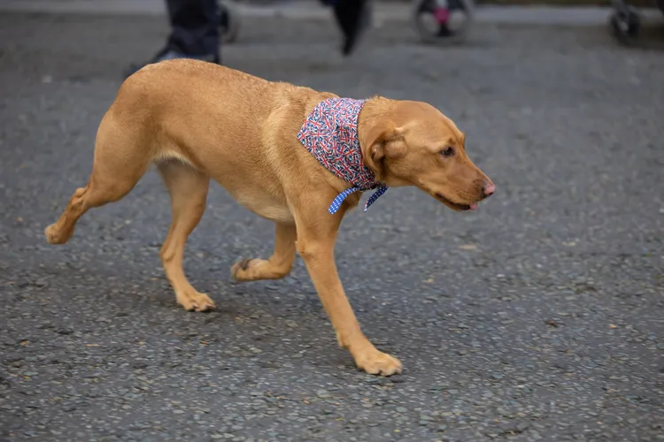 翻攝蘇納克臉書@Rishi Sunak