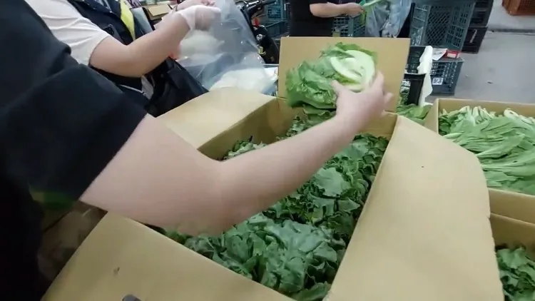 抽驗結果一件大陸妹農藥超標。桃園市衛生局提供