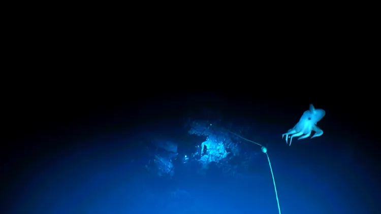 深海無人潛水艇遠端操控，探索水下世界。路透社