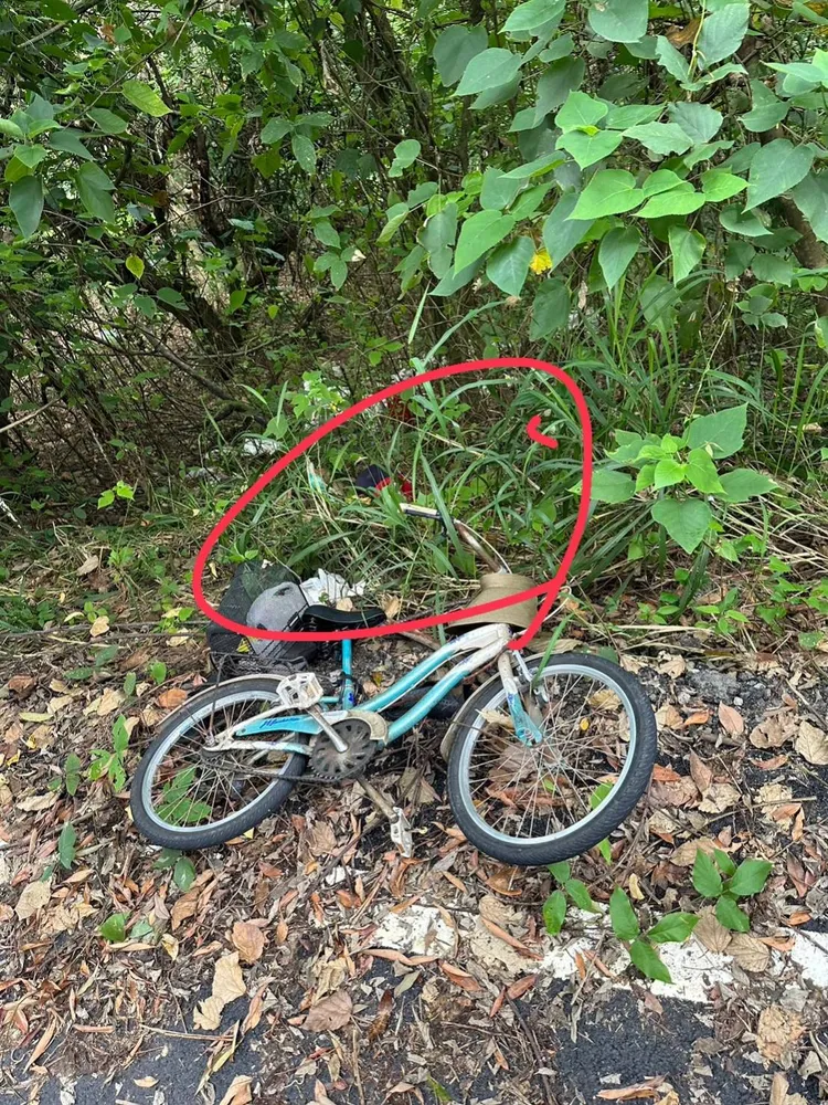 警方在南169線發現老婦腳踏車。讀者提供