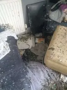 翻攝Paul Cooper部落格