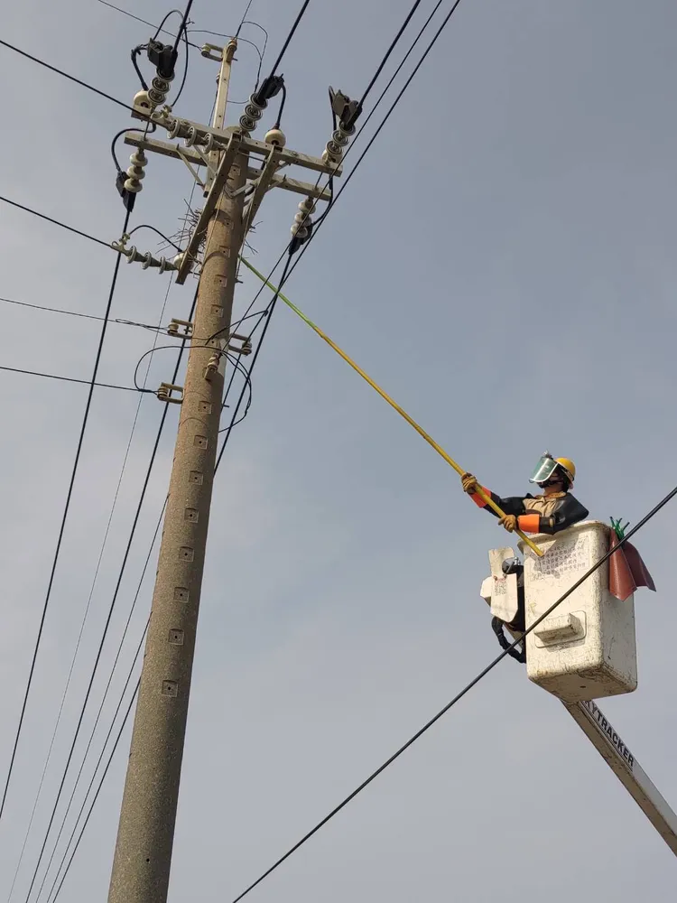 喜鵲喜歡把鳥巢築在電線桿上，台電在喜鵲繁殖時期，將電桿上尚未成形的鳥巢拆除，降低事故發生。台電提供