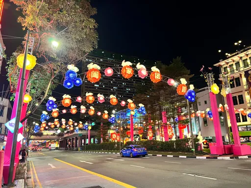 新加坡牛車水慶祝中秋節　繽紛彩燈點亮夜色