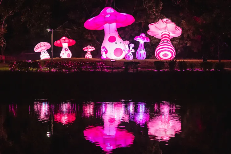 2023光織影舞浪漫登場。嘉市府提供