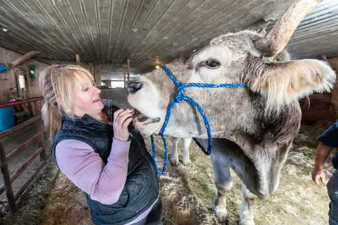 翻攝金氏世界紀錄網站