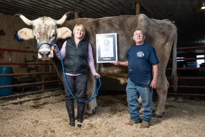 翻攝金氏世界紀錄網站