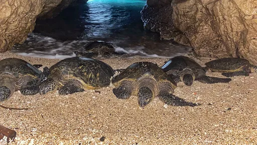 為6500元被淫玩6小時　雜交趴女主角：30人咬到我乳頭沾滿血