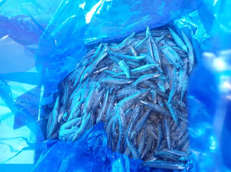 日本熊本出口冷凍丁香魚檢出重金屬鎘超標，18.4公噸全數退運或銷毀。食藥署提供