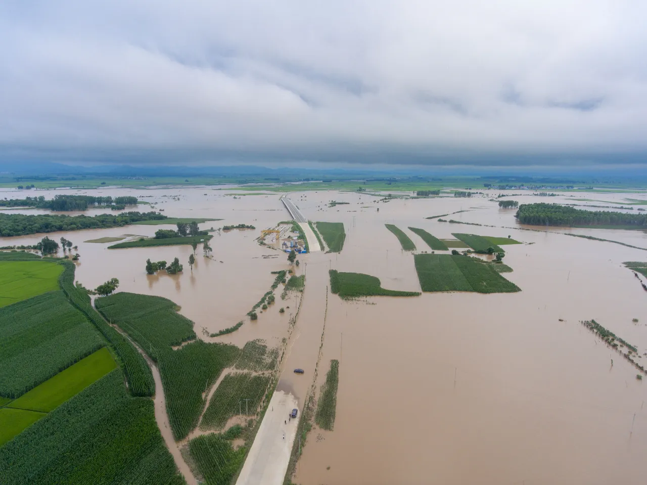 哈爾濱之前遭暴雨侵襲。資料照片