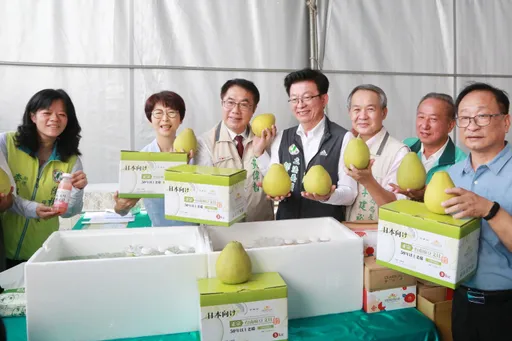 麻豆文旦二度外銷日本!20噸直攻超市通路 黃偉哲力薦中秋送禮首選「要買要快」
