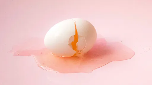 台農蛋品老董驚爆 挺超思、認疏失都是「農業部」暗下指導棋