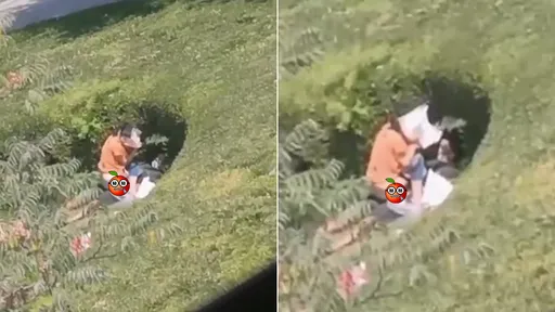 情侶躺草坪坑洞活春宮 變打卡熱點!賣車賣屋的都來了