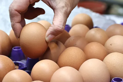 新鮮雞蛋靠3招辨別！不只看裂痕　蛋黃蛋白也透露玄機