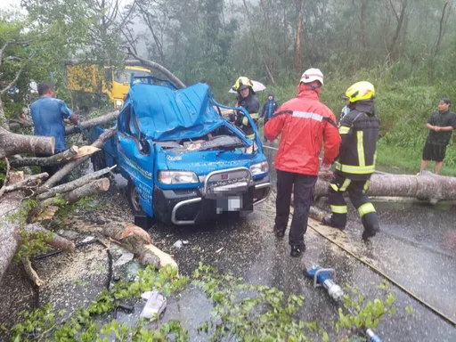 海葵強風吹倒花蓮路樹　砸毀小貨車2人受傷