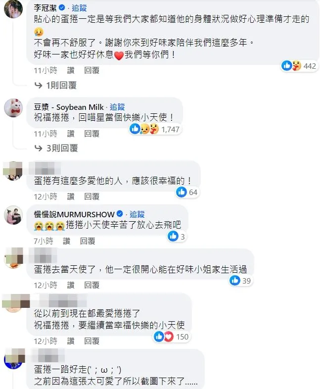 超過6.5萬網友及粉絲，安慰好味小姐說，有這麼多愛他的人，應該很幸福的。翻攝自臉書「好味小姐腦波弱」