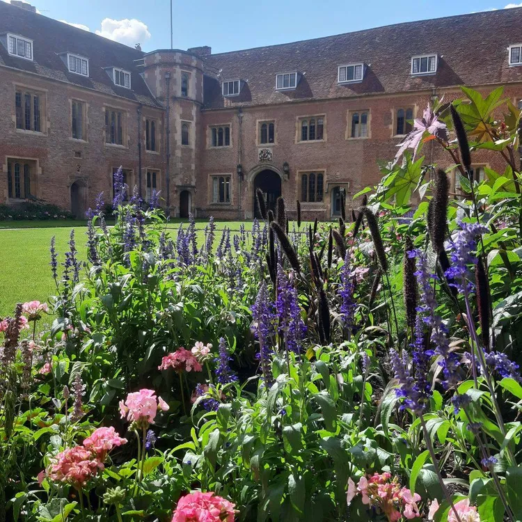 翻攝劍橋大學臉書@University of Cambridge