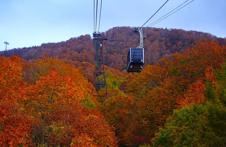 山形縣ー藏王纜車。JR東日本提供
