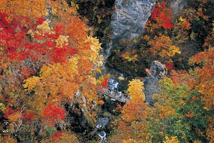 宮城県ー鳴子峡。JR東日本提供