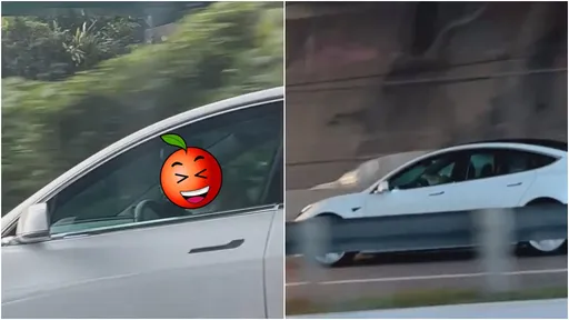 狗都比你會開車! 目擊者驚呼:是去上班當社畜?