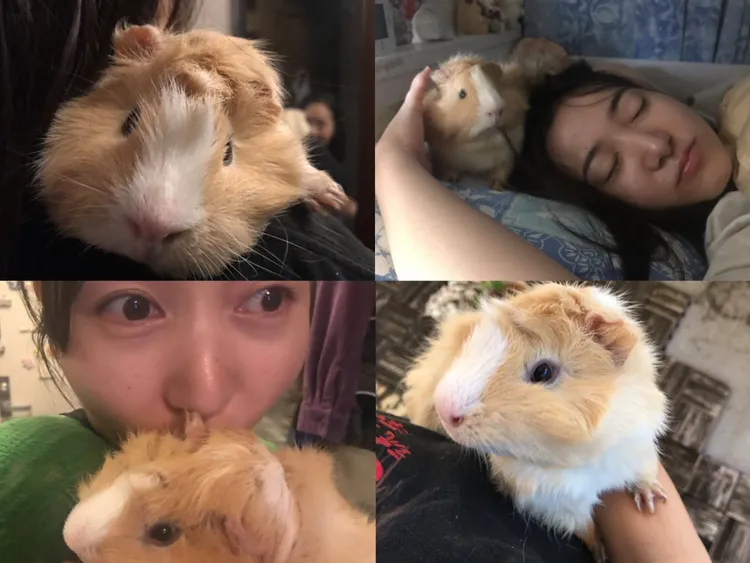 TSUMUGI與主人見里瑞穗的合照。翻攝見里瑞穗的社群平台「X」